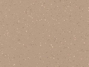 Линолеум Polyflor Polysafe Verona Pur 5213 Caramel Latte фото 1 | FLOORDEALER